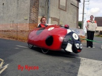 Click to enlarge Coccinella 004.jpg